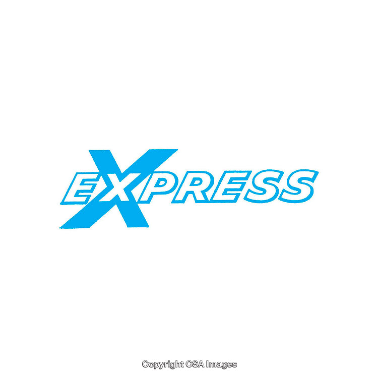 Blue Express Logo Design Featuring Stylized Text on a Clean White Background