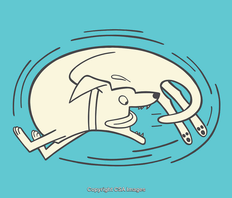 Dog Chasing Its Tail in Cartoon Style Line Art Illustration