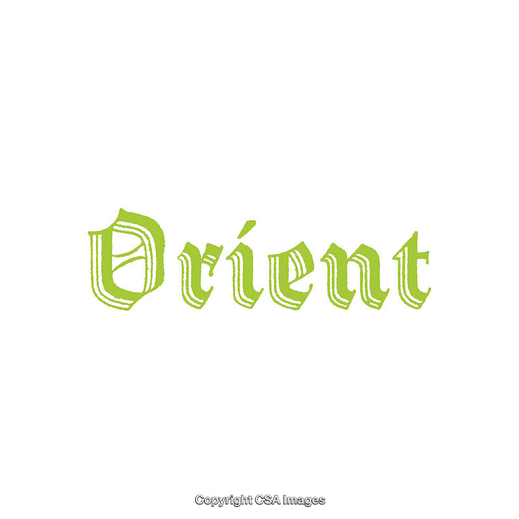 Green Decorative Vintage Font Text Design on White Background