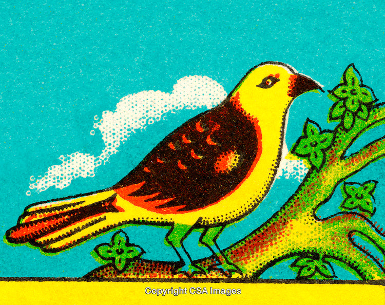 Colorful Artistic Illustration of a Bird Perched on a Tree Branch