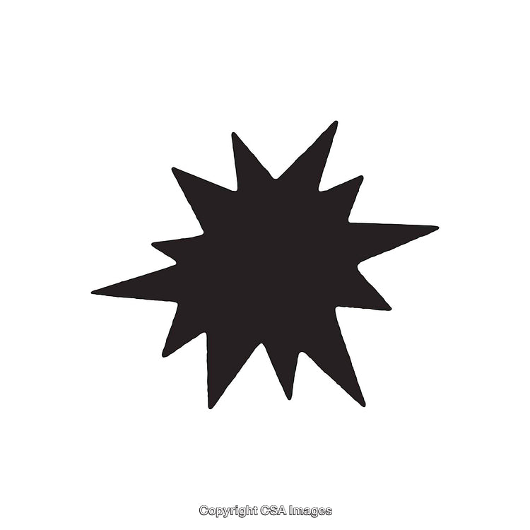 Black Starburst Dingbat with Sharp Points on White Background