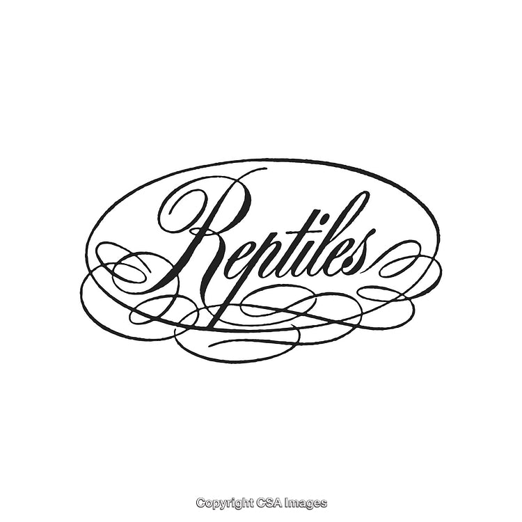 Ornate Black and White Calligraphy Design Featuring the Word 'Reptiles'