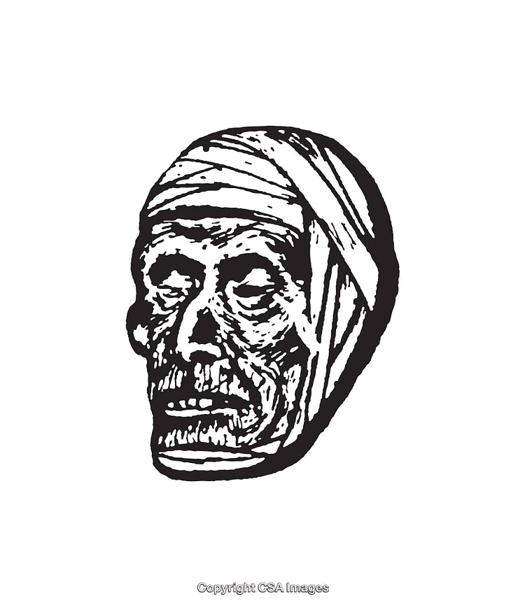 Detailed Black and White Illustration of a Mummy's Decayed Head