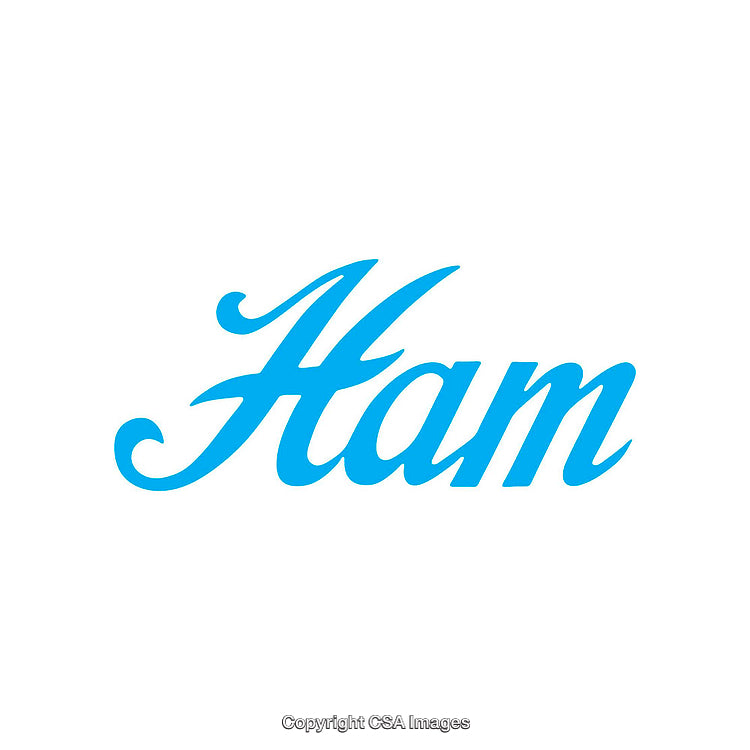 Blue Ham Text in Elegant Script on a White Background