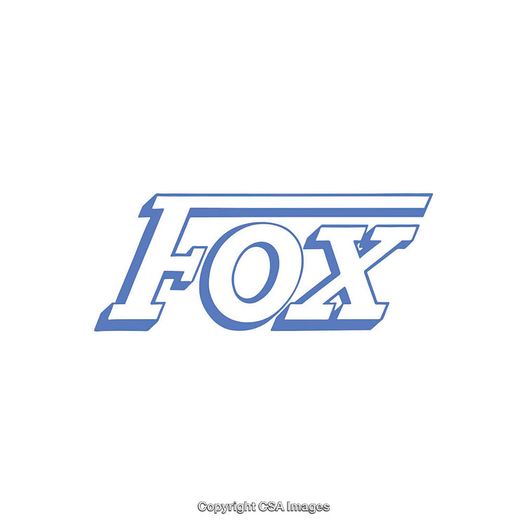 Blue Fox Stylized Typography Logo Design on White Background