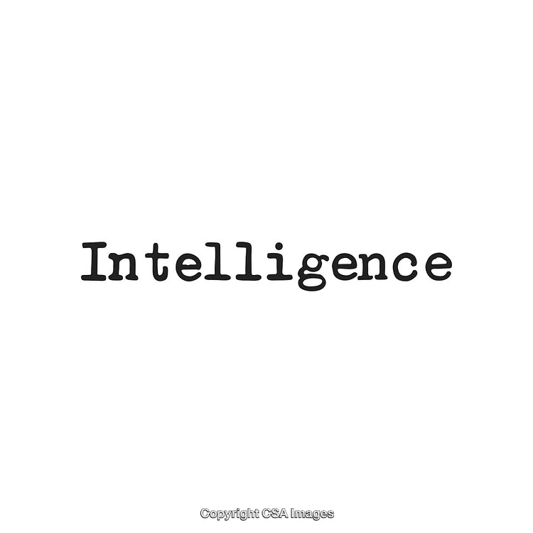 Simple Typography Featuring the Word Intelligence on a White Background