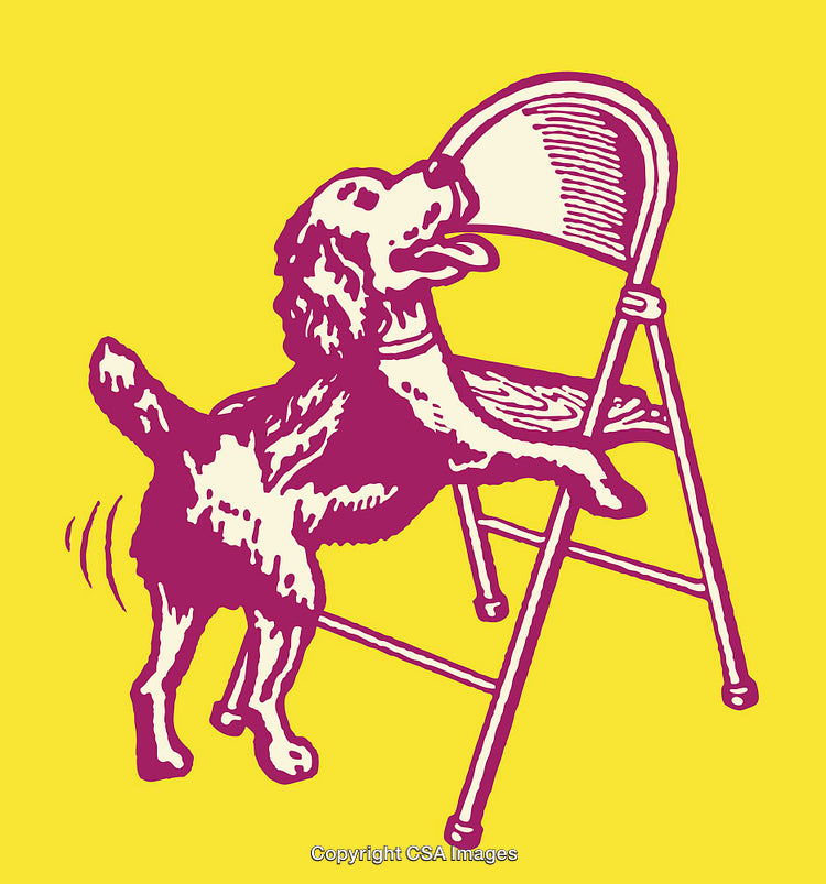 Colorful Line Art Illustration of Dog with Chair on Yellow Background