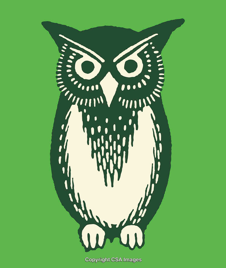 Stylized Green and White Owl Illustration with Bold Geometric Shapes
