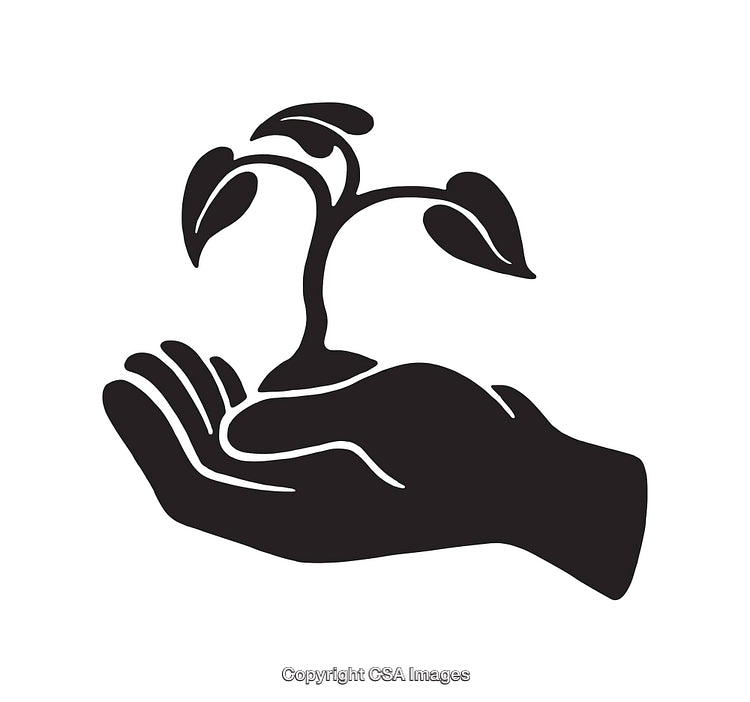 Silhouette of a Hand Holding a Growing Plant in Black and White