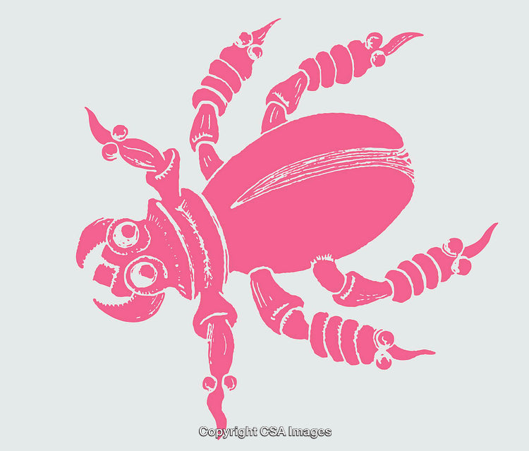 Pink Illustrated Bug on Light Background, Minimalist Artwork Design
