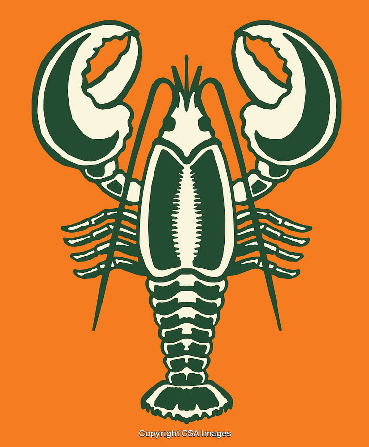 Stylized Lobster Illustration in Green and Orange with Symmetrical Design