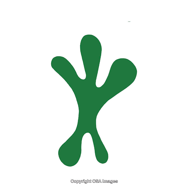 Abstract Green Shape Resembling Organic Form on White Background