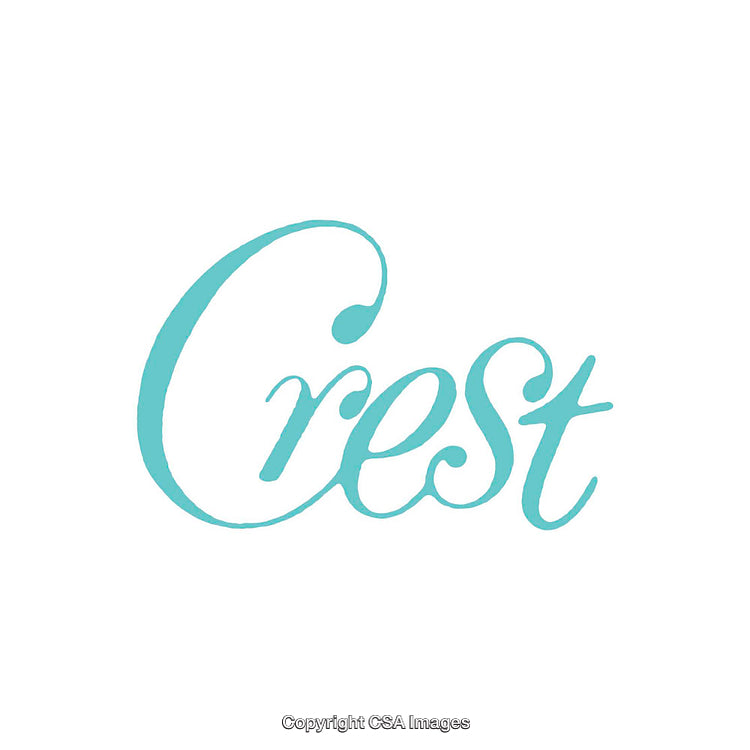 Elegant Turquoise Text Logo on Minimal White Background Design