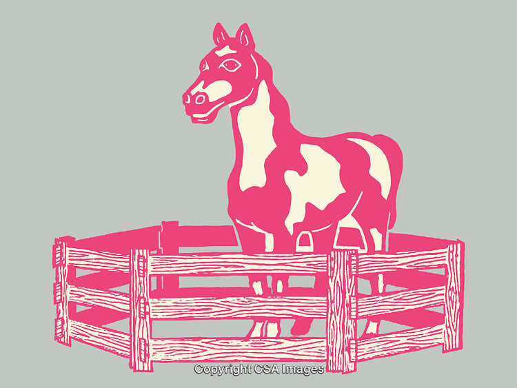 Pink Horse Illustration Inside Wooden Fence Color Line Art