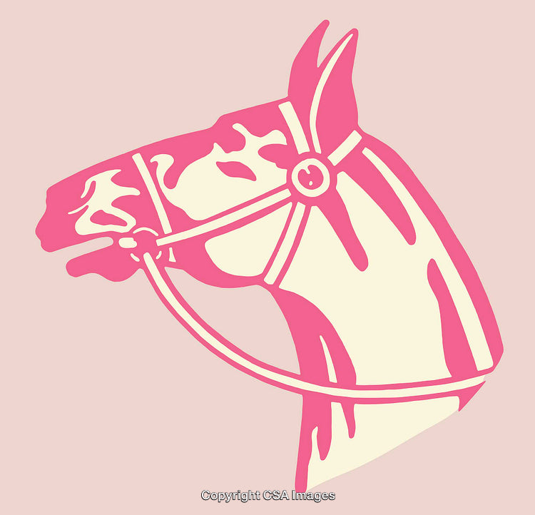 Modern Pink Line Art Illustration of Horse's Head