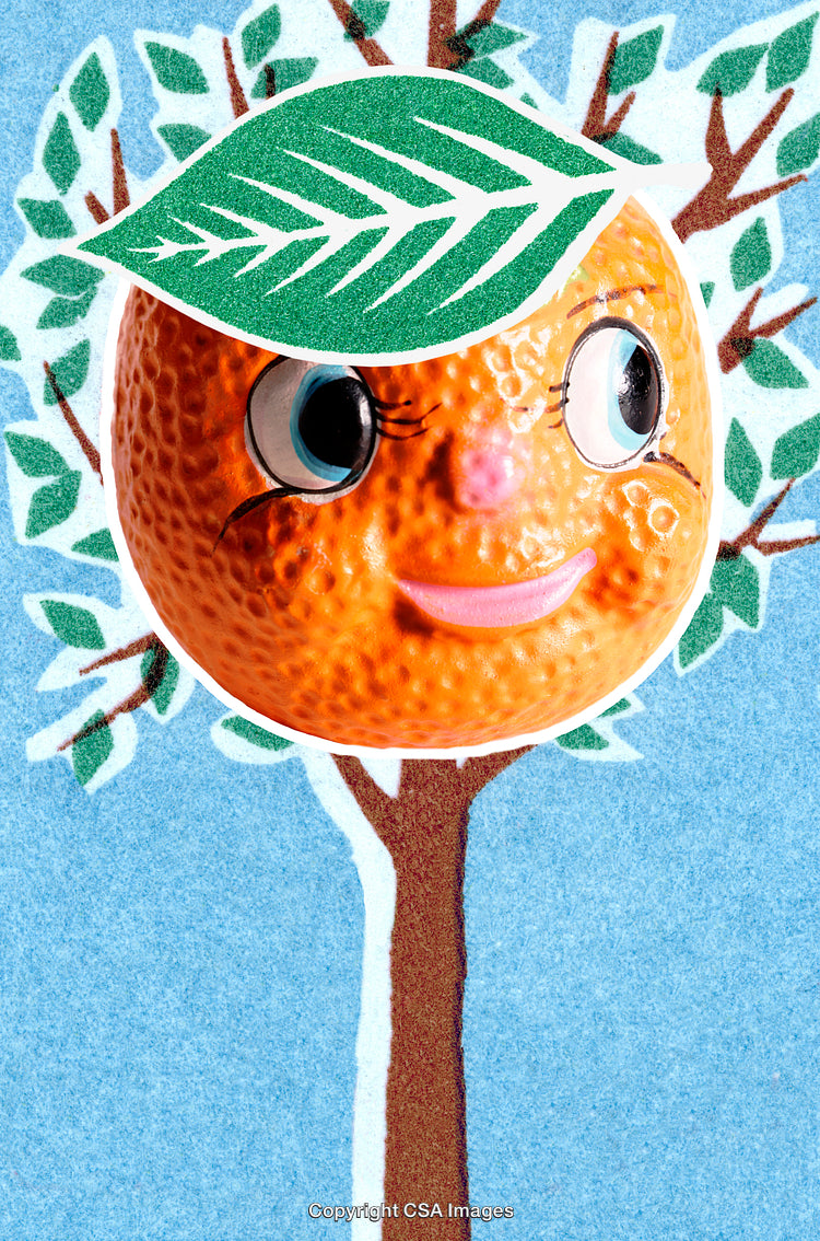 Playful Orange Face With Animated Features in a Fun Design
