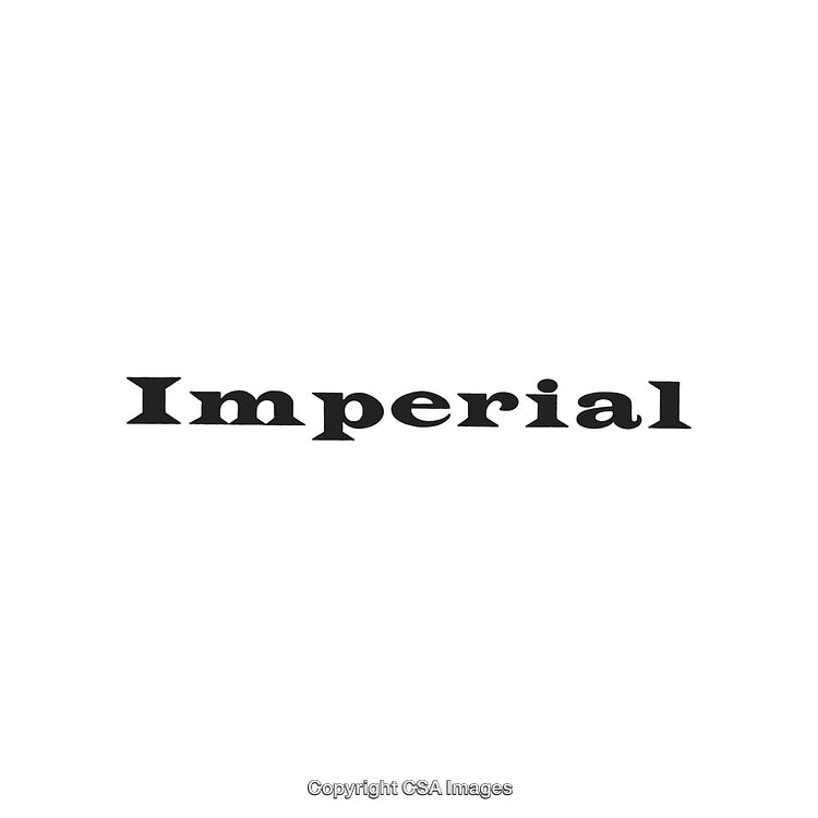 Bold Black Text on a Minimalistic White Background