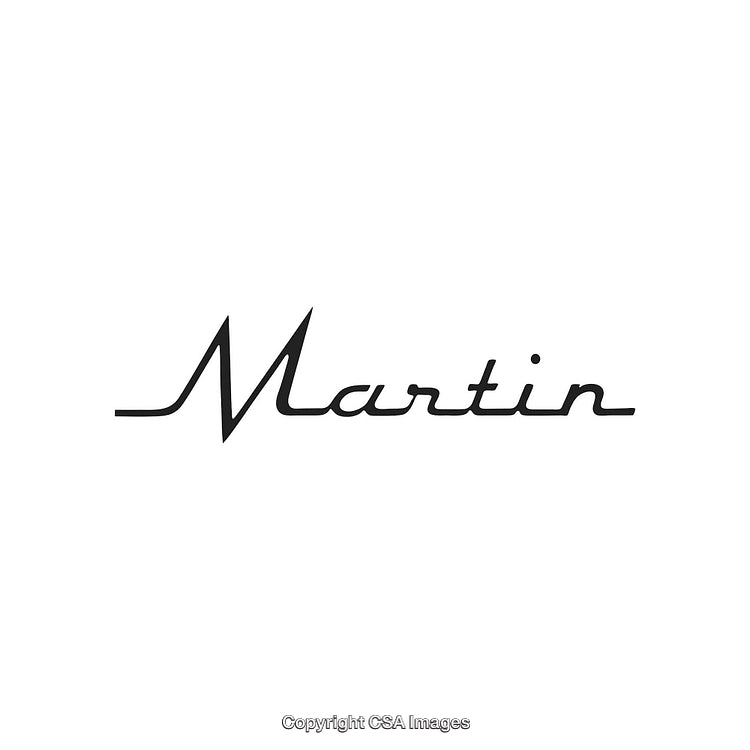 Stylish Modern Font Logo Featuring the Name Martin on a White Background