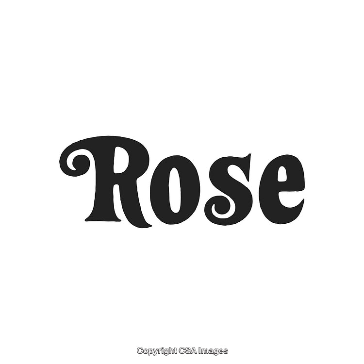 Elegant Black Text Typography Spelling 'Rose' on a White Background