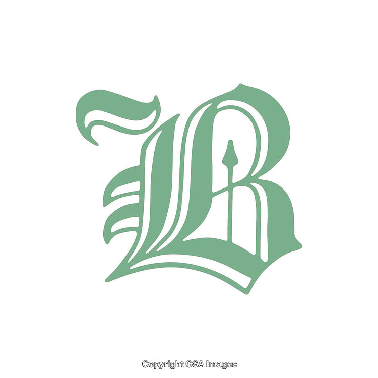 Ornate Green Letter B in Classic Calligraphy Style Design