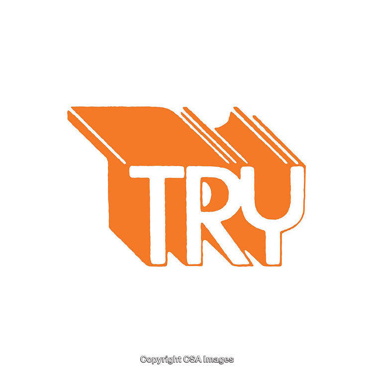 Bold Orange Emblem Featuring the Word 'Try' with Simple Design Elements