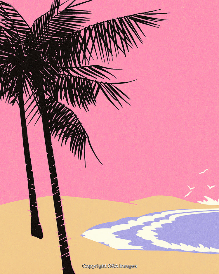 Tropical Palm Silhouette Against Vibrant Pink Sky on Seashore Scene
