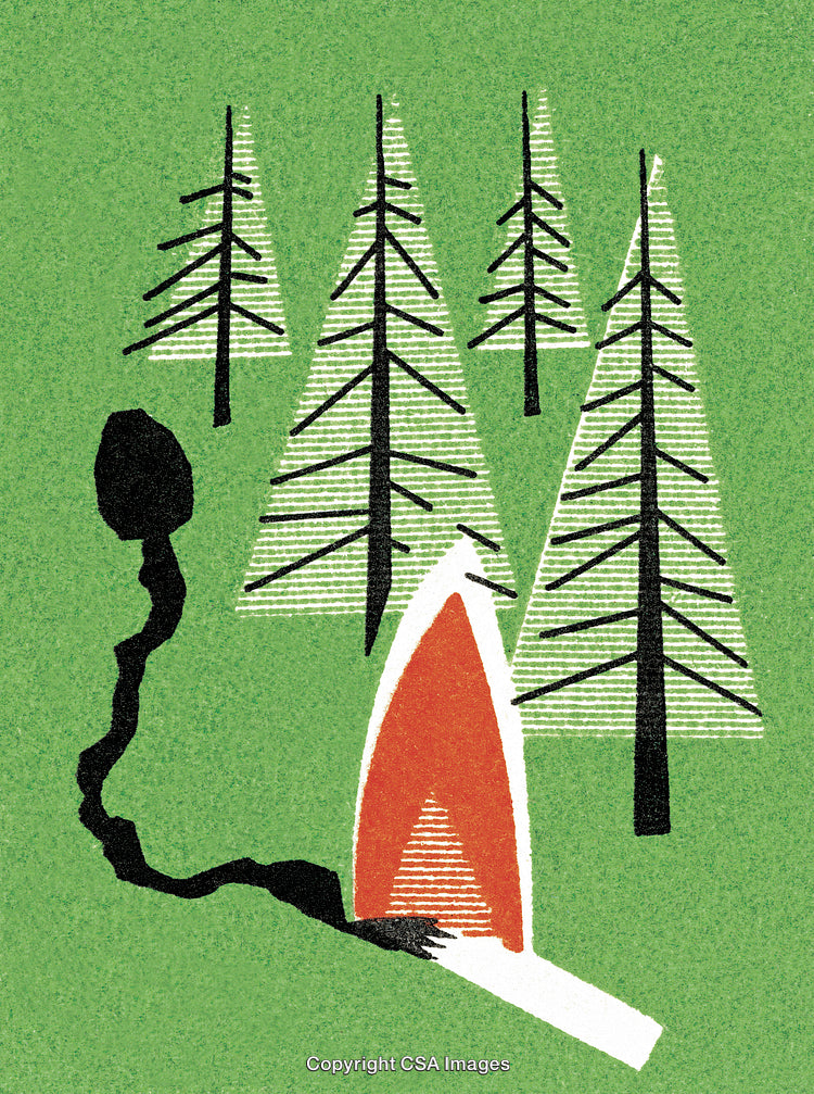 Forest Fire