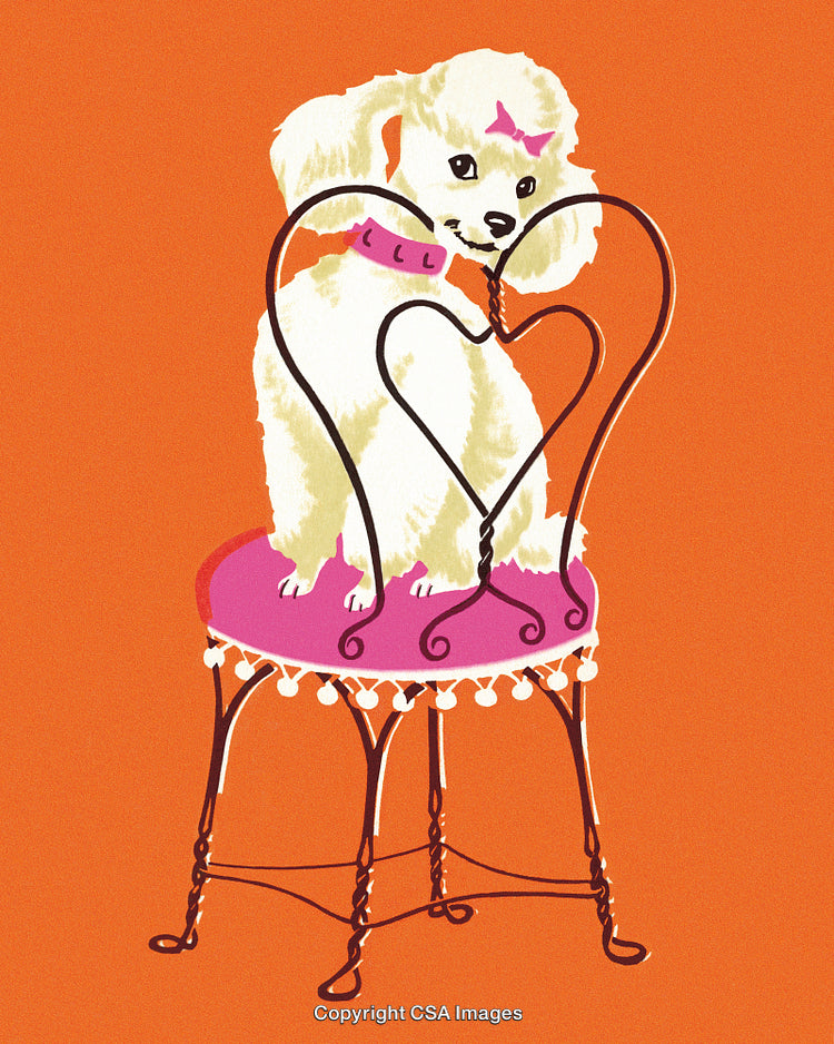 Charming Illustration of a Poodle on a Decorative Chair with Heart Design