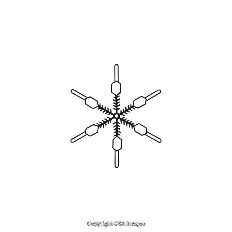 Black and White Geometric Snowflake Symbol with Intricate Detailing in Minimalist Style