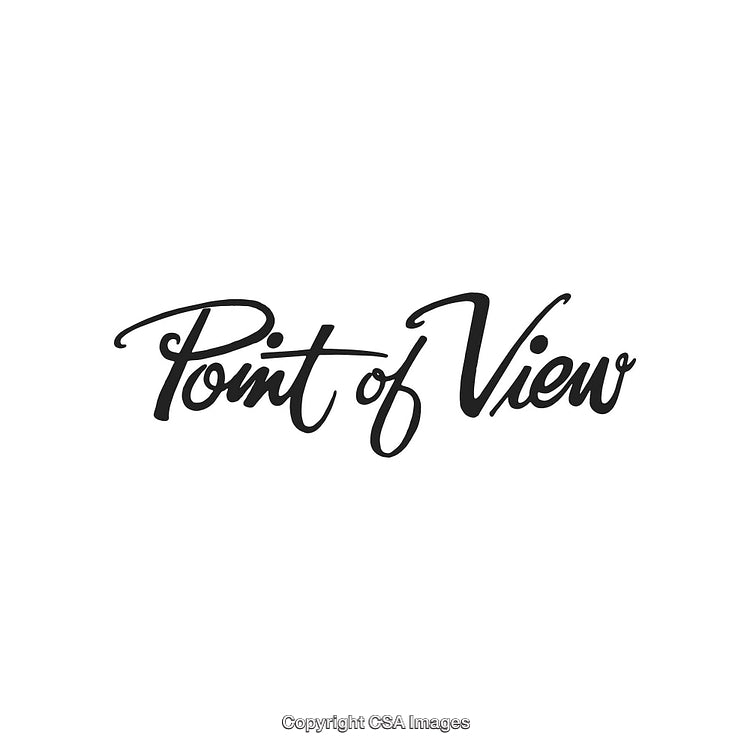 Elegant Handwritten Font Displaying the Phrase 'Point of View' on White Background