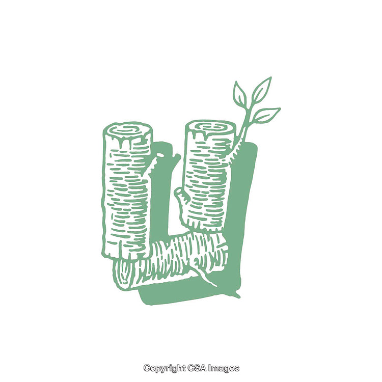 Illustration of the Letter U Formed by Tree Branches and Leaves
