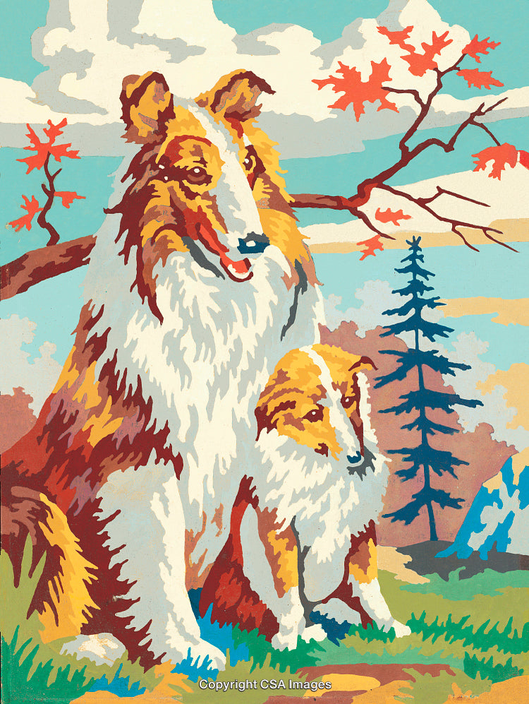 Vintage Paint by Numbers Collie Dogs in a Pristine Natural Landscape