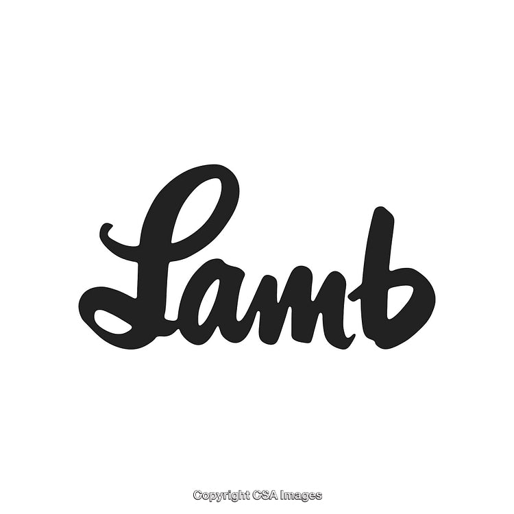 Elegant Black Handwritten Lamb Script Typography on White Background