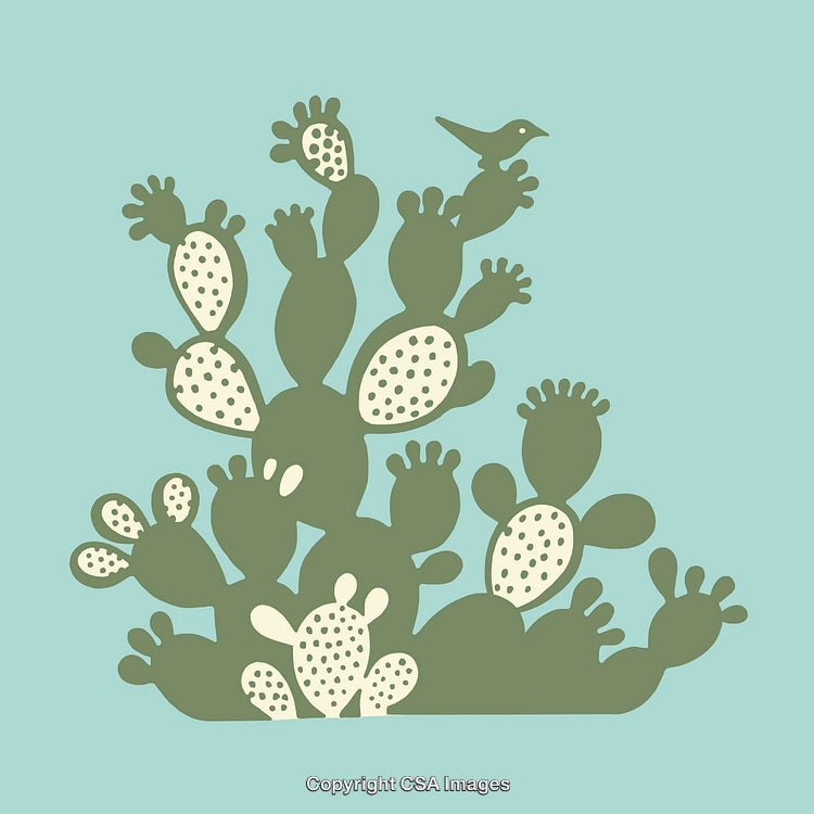 Beautiful Line Illustration of Cactus with Bird on Blue Background
