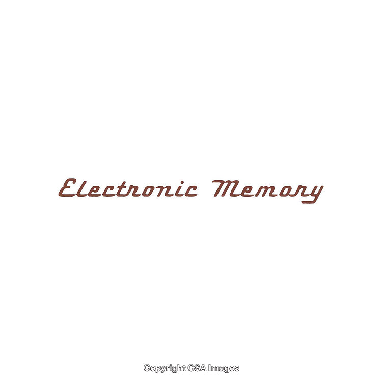 Stylized Brown Text Depicting 'Electronic Memory' on Plain White Background