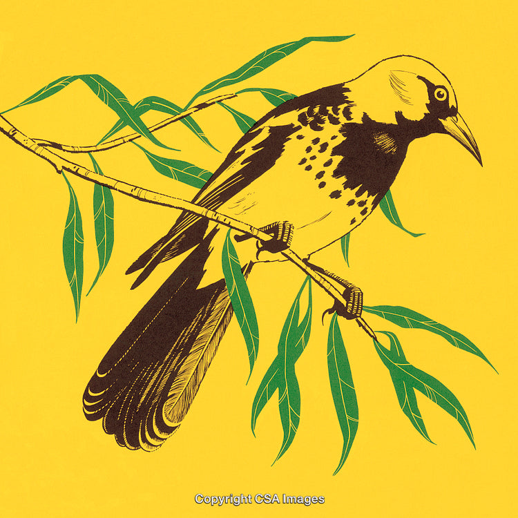 Artistic Depiction of a Bird Perched on a Branch with Yellow Background