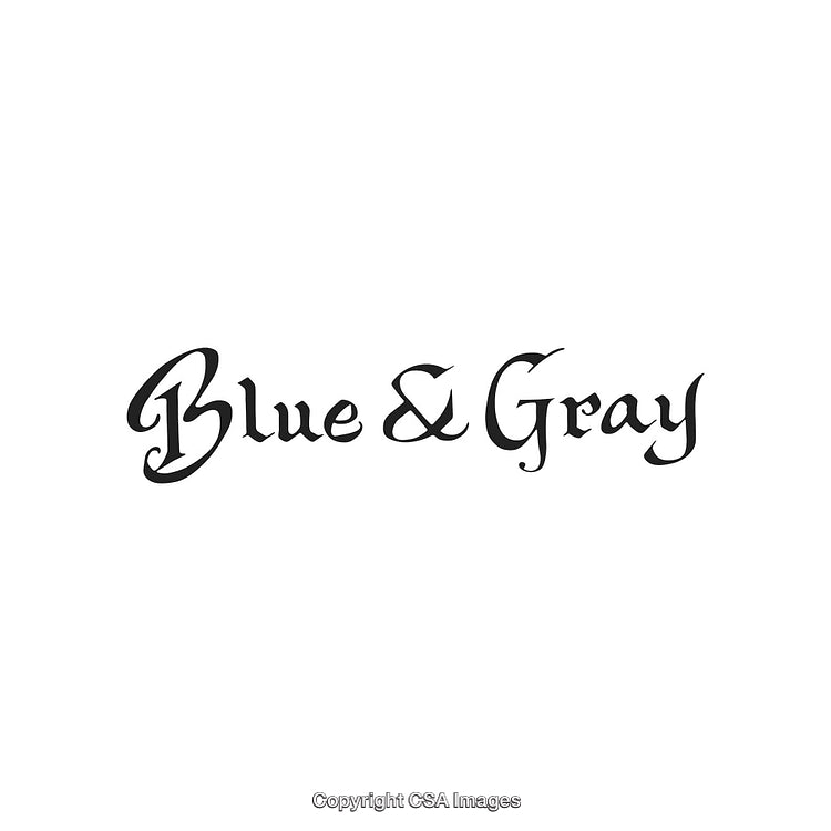 Stylish Black Calligraphy Text Reading 'Blue & Gray' on White Background