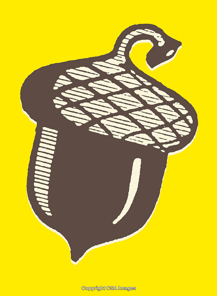 Line Art Illustration of an Acorn on a Yellow Background