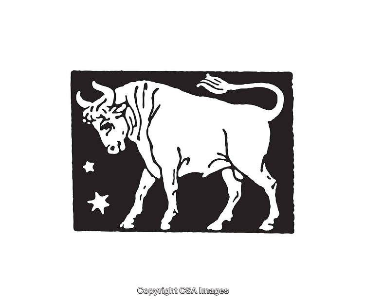 Black and White Illustration of a Bull with Stars in Rectangular Frame