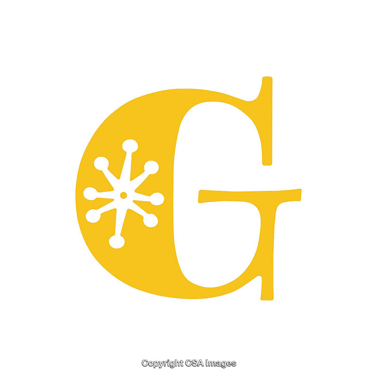 Yellow Letter G Emblem with Decorative Starburst Design on White Background