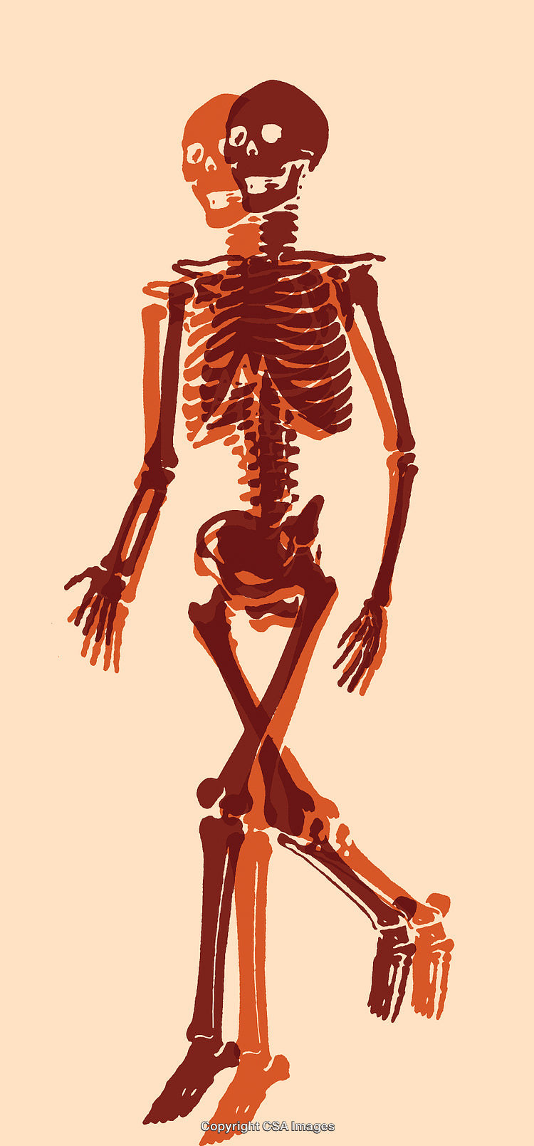 Artistic Double Exposure Illustration of Two Skeleton Figures Intertwined in Motion