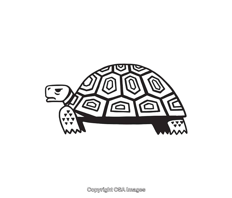 Black and White Line Art Illustration of a Turtle With Intricate Pattern
