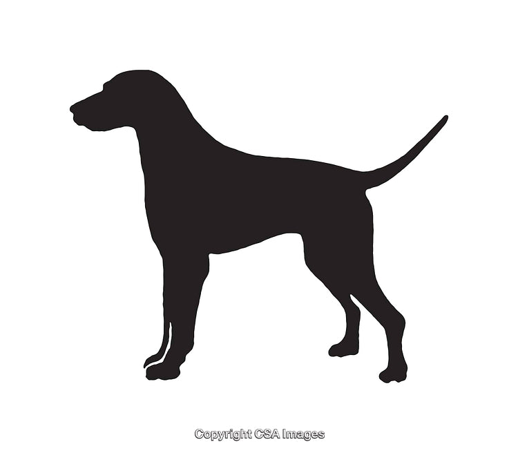 Silhouette of a Standing Dog in Profile on White Background