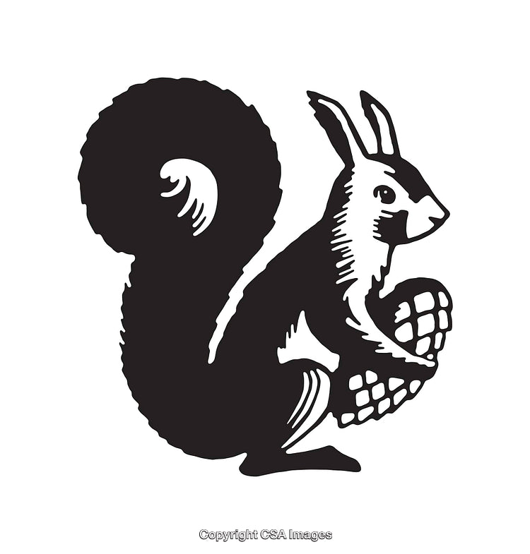 Black and White Line Art Illustration of a Squirrel Holding a Nut