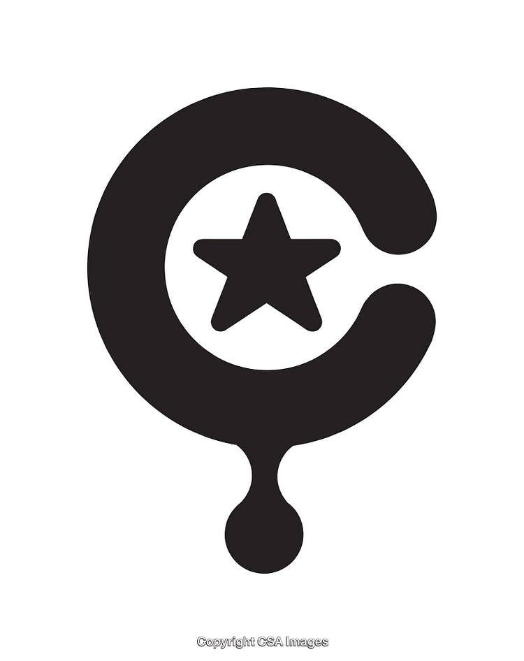 Abstract Black and White Icon with Star Inside Minimalistic Design