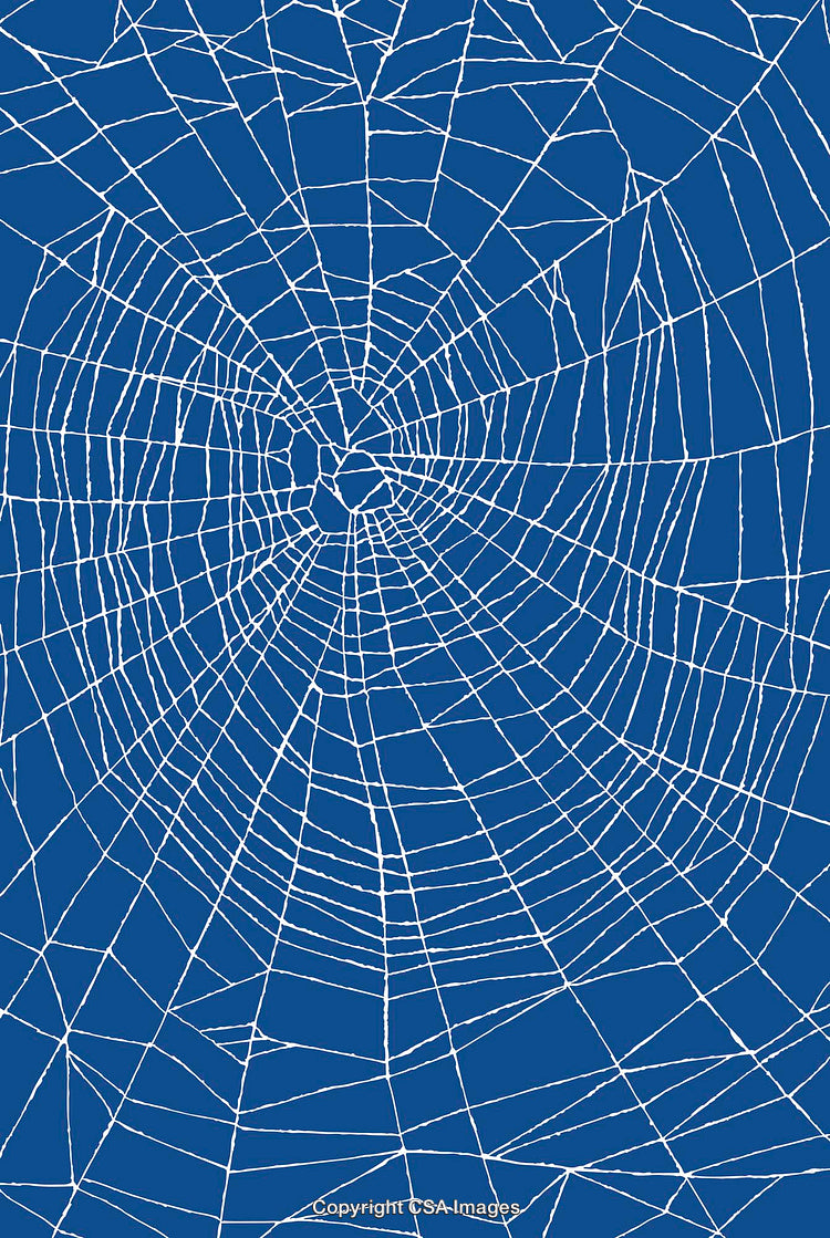Intricate White Spider Web Design on a Solid Blue Background