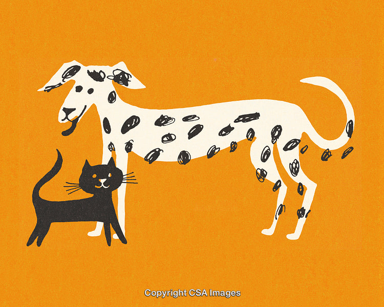 Playful Drawing of Dalmatian Dog and Black Cat on Orange Background