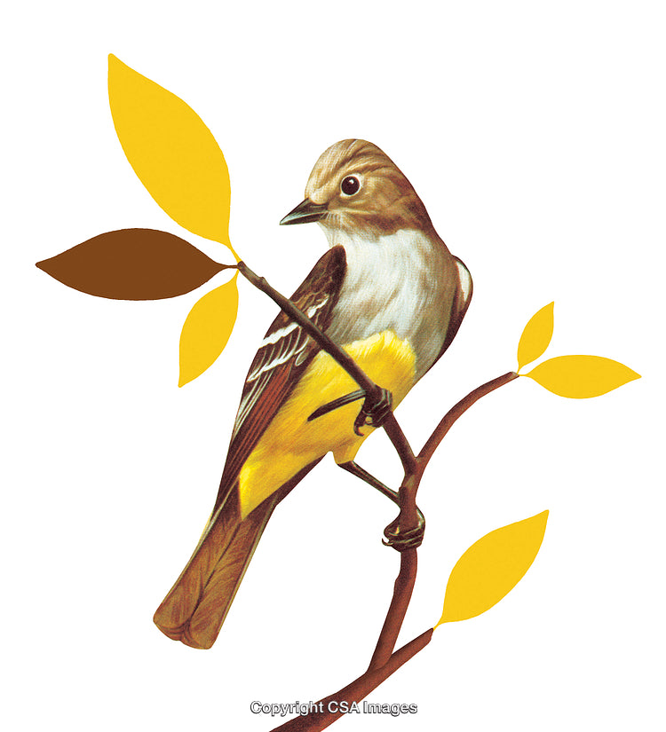 Yellow Bird Perched on a Branch with Autumn Leaves