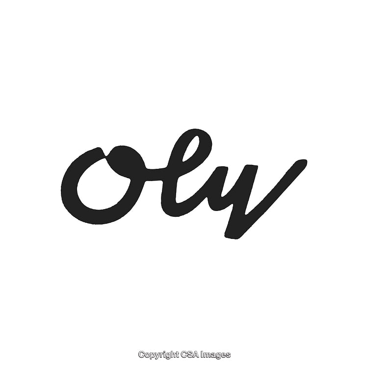 Stylish Handwritten Wordmark Logo in Bold Black Typography