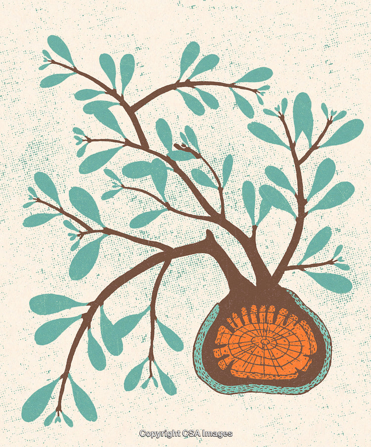 Detailed Artistic Botany Illustration with Tree Cross-Section Design